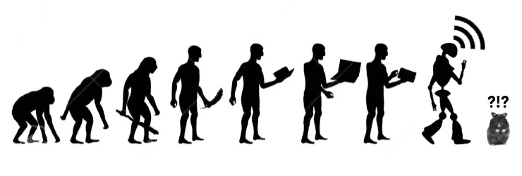 il s'agit de l'évolution humaine de l'homme, du singes à ce qu'il est aujourd'hui